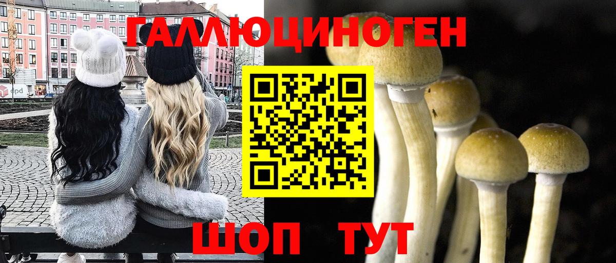 Канск  Галлюциногенные грибы Psilocybe  Галлюциногенные грибы MAGIC MUSHROOMS  Вход с VPN 